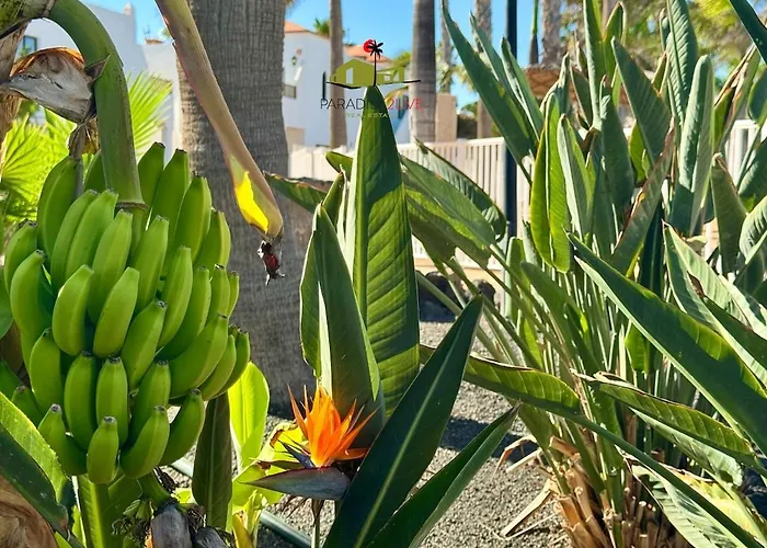 アパート Casa Dudu