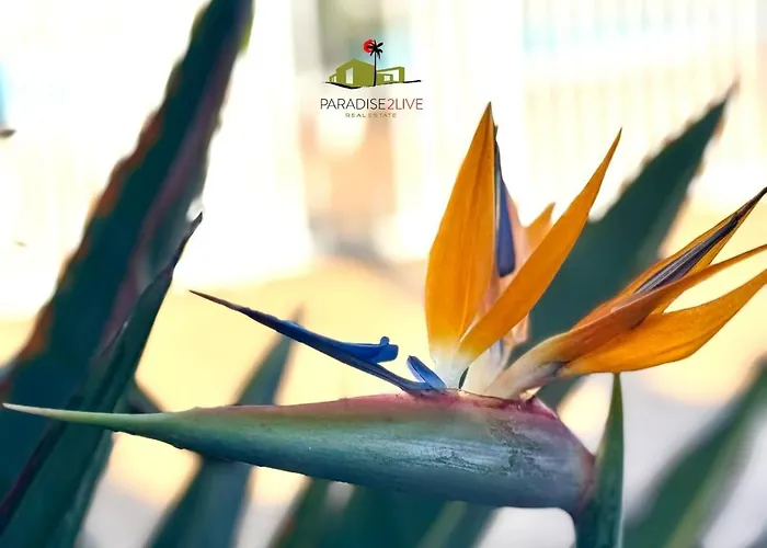 Casa Dudu Apartment *